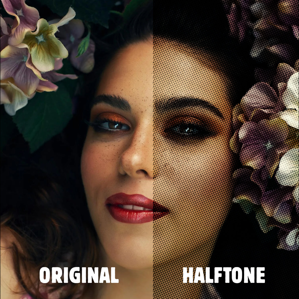Halfftone Halftone Conversion – Blanks and Print